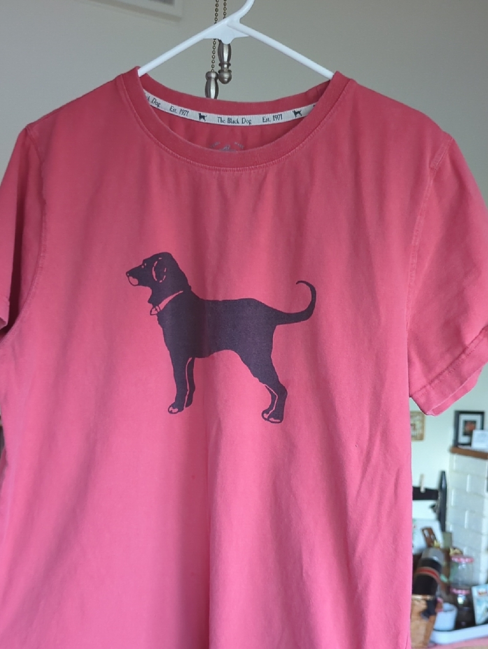 The Black Dog